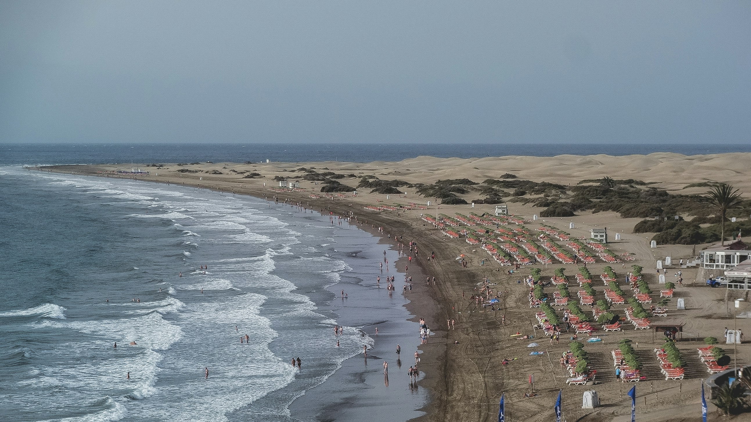 people on beach during daytime